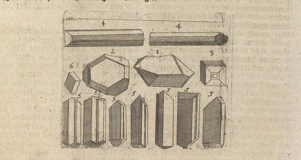 An illustration from Museum museorum, oder, Vollständige Schau Bühne aller Materialien und Specereyen : nebst deren natürlichen Beschreibung, Election, Nutzen und Gebrauch, aus andern Material-Kunst-und Naturalien-Kammern, oost-und-west-indischen Reiss-Beschreibungen ... : wie auch selbst-eigenen Erfahrung, zum Vorschub der studirenden Jugend, Materialisten ... u.s.w. also verfasset, und mit etlich hundert sauberen Kupfferstücken unter Augen geleget, 1714, leaf 556