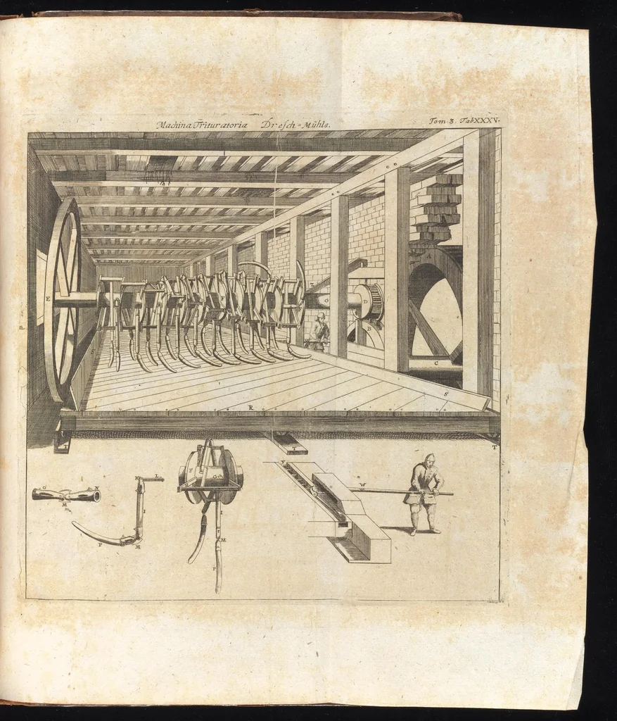 An illustration from Museum museorum, oder, Vollständige Schau Bühne aller Materialien und Specereyen : nebst deren natürlichen Beschreibung, Election, Nutzen und Gebrauch, aus andern Material-Kunst-und Naturalien-Kammern, oost-und-west-indischen Reiss-Beschreibungen ... : wie auch selbst-eigenen Erfahrung, zum Vorschub der studirenden Jugend, Materialisten ... u.s.w. also verfasset, und mit etlich hundert sauberen Kupfferstücken unter Augen geleget, 1714, leaf 570