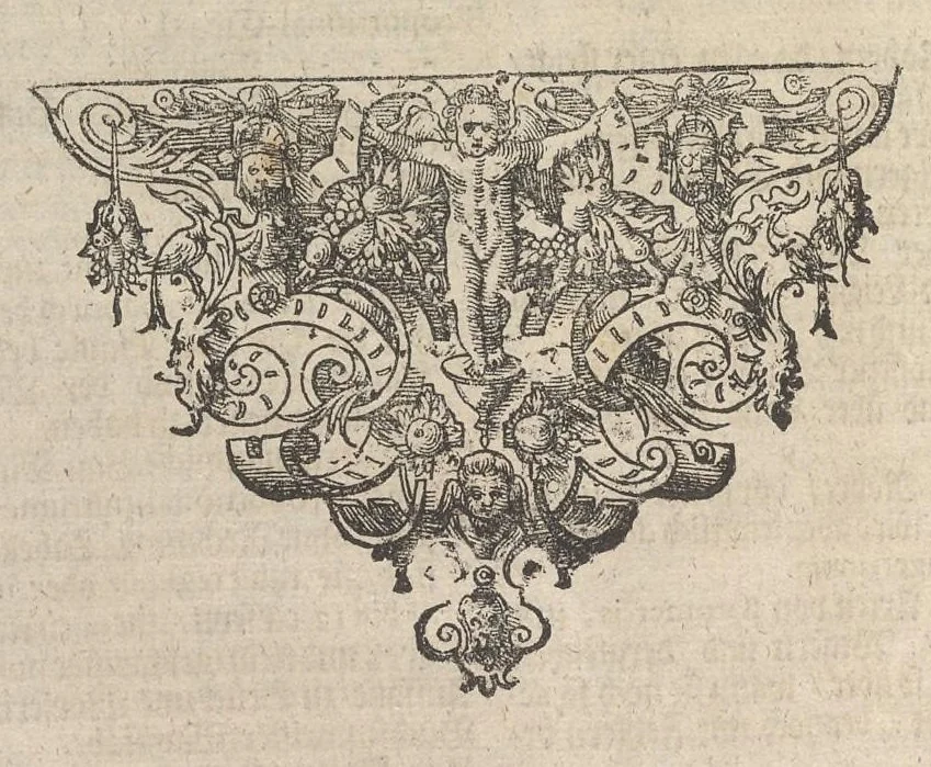 An illustration from Museum museorum, oder, Vollständige Schau Bühne aller Materialien und Specereyen : nebst deren natürlichen Beschreibung, Election, Nutzen und Gebrauch, aus andern Material-Kunst-und Naturalien-Kammern, oost-und-west-indischen Reiss-Beschreibungen ... : wie auch selbst-eigenen Erfahrung, zum Vorschub der studirenden Jugend, Materialisten ... u.s.w. also verfasset, und mit etlich hundert sauberen Kupfferstücken unter Augen geleget, 1714, leaf 617