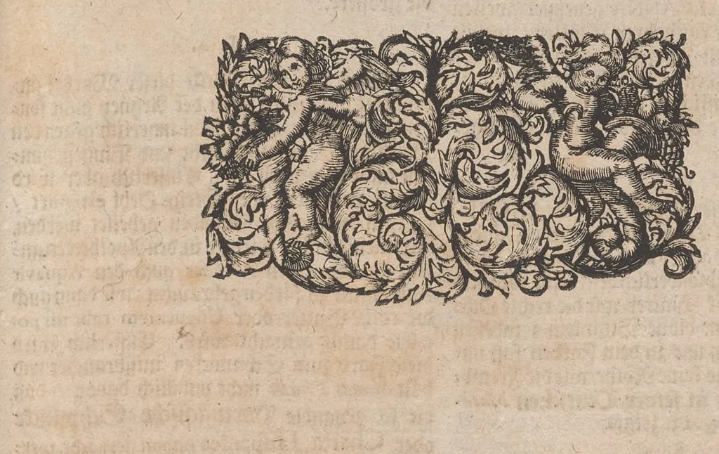 An illustration from Museum museorum, oder, Vollständige Schau Bühne aller Materialien und Specereyen : nebst deren natürlichen Beschreibung, Election, Nutzen und Gebrauch, aus andern Material-Kunst-und Naturalien-Kammern, oost-und-west-indischen Reiss-Beschreibungen ... : wie auch selbst-eigenen Erfahrung, zum Vorschub der studirenden Jugend, Materialisten ... u.s.w. also verfasset, und mit etlich hundert sauberen Kupfferstücken unter Augen geleget, 1714, leaf 228