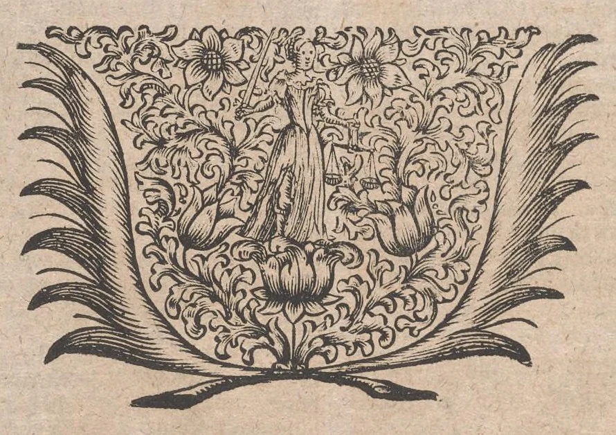 An illustration from Museum museorum, oder, Vollständige Schau Bühne aller Materialien und Specereyen : nebst deren natürlichen Beschreibung, Election, Nutzen und Gebrauch, aus andern Material-Kunst-und Naturalien-Kammern, oost-und-west-indischen Reiss-Beschreibungen ... : wie auch selbst-eigenen Erfahrung, zum Vorschub der studirenden Jugend, Materialisten ... u.s.w. also verfasset, und mit etlich hundert sauberen Kupfferstücken unter Augen geleget, 1714, leaf 349