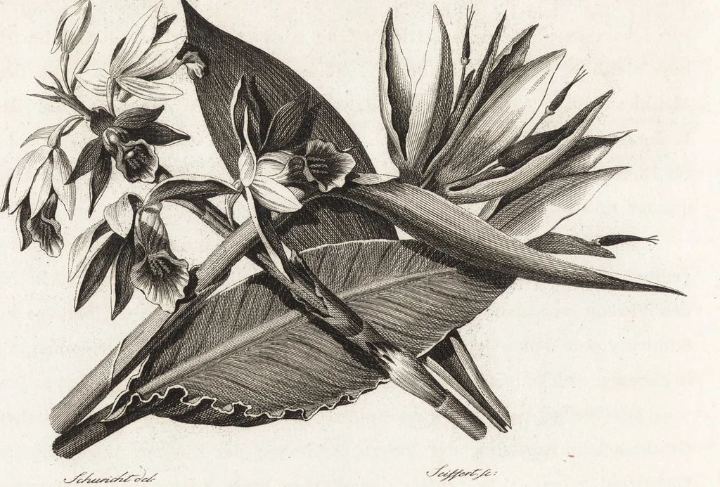 An illustration from Darstellung und Geschichte des Geschmacks der vorzüglichsten Völker in Beziehung auf die innere Auszierung der Zimmer und auf die Baukunst, 1796, leaf 89