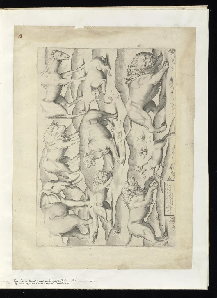 An illustration from Specvlvm Romanae magnificentiae : omnia fere qvaecvnq- in vrbe monvmenta extant partim ivxta antiqvam partim ivxta hodiernam formam accuratiss. delineata repraesentans : accesserunt non paucae tum antiquarum tum modernarum rerum urbis figurae nusquam antehac aeditae ..., 1544, leaf 10