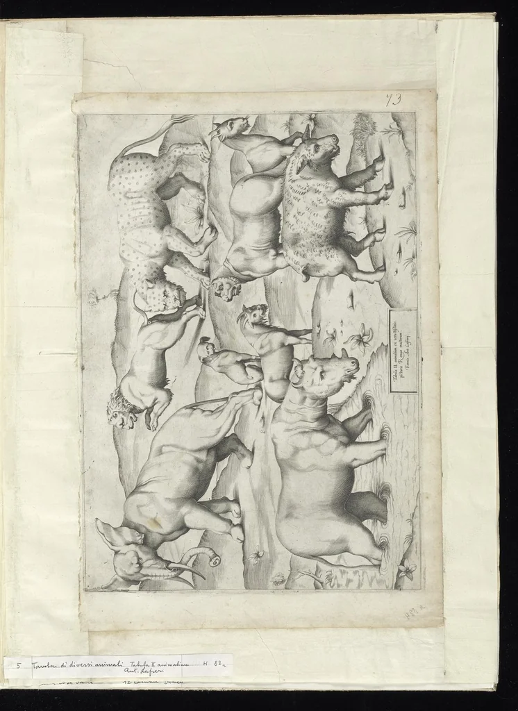 An illustration from Specvlvm Romanae magnificentiae : omnia fere qvaecvnq- in vrbe monvmenta extant partim ivxta antiqvam partim ivxta hodiernam formam accuratiss. delineata repraesentans : accesserunt non paucae tum antiquarum tum modernarum rerum urbis figurae nusquam antehac aeditae ..., 1544, leaf 12