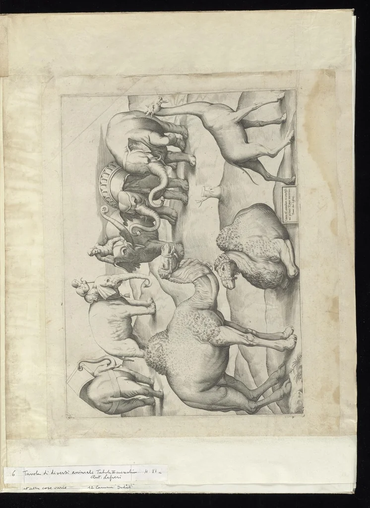 An illustration from Specvlvm Romanae magnificentiae : omnia fere qvaecvnq- in vrbe monvmenta extant partim ivxta antiqvam partim ivxta hodiernam formam accuratiss. delineata repraesentans : accesserunt non paucae tum antiquarum tum modernarum rerum urbis figurae nusquam antehac aeditae ..., 1544, leaf 14
