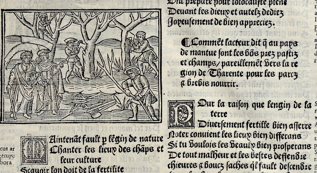 An illustration from Les oeuures de Virgile : translatees de latin en francoys, et nouuellement imprimees, veues et corrigees oultre les precedentes impressions : avec les histoires mises [et] posees chascune en son lieu, ainsi que lon pourra veoir dedans le liure, lesquelles sont moult recreatiues, 1540, leaf 100