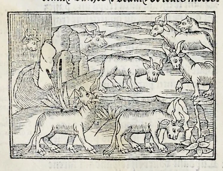 An illustration from Les oeuures de Virgile : translatees de latin en francoys, et nouuellement imprimees, veues et corrigees oultre les precedentes impressions : avec les histoires mises [et] posees chascune en son lieu, ainsi que lon pourra veoir dedans le liure, lesquelles sont moult recreatiues, 1540, leaf 121