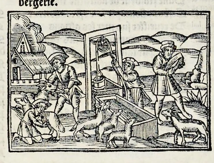 An illustration from Les oeuures de Virgile : translatees de latin en francoys, et nouuellement imprimees, veues et corrigees oultre les precedentes impressions : avec les histoires mises [et] posees chascune en son lieu, ainsi que lon pourra veoir dedans le liure, lesquelles sont moult recreatiues, 1540, leaf 127