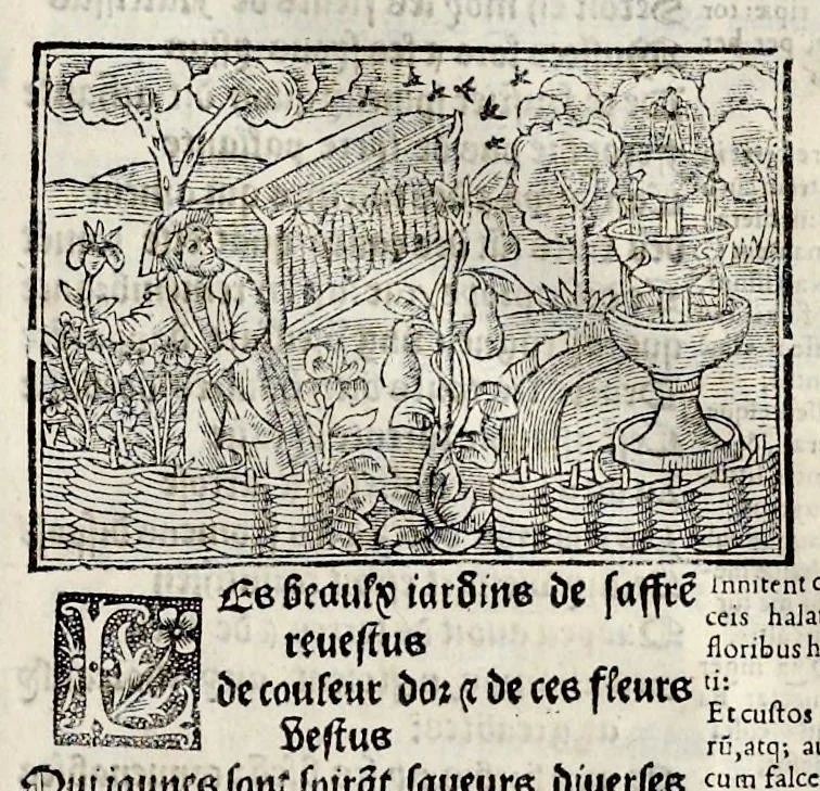 An illustration from Les oeuures de Virgile : translatees de latin en francoys, et nouuellement imprimees, veues et corrigees oultre les precedentes impressions : avec les histoires mises [et] posees chascune en son lieu, ainsi que lon pourra veoir dedans le liure, lesquelles sont moult recreatiues, 1540, leaf 140