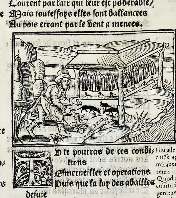 An illustration from Les oeuures de Virgile : translatees de latin en francoys, et nouuellement imprimees, veues et corrigees oultre les precedentes impressions : avec les histoires mises [et] posees chascune en son lieu, ainsi que lon pourra veoir dedans le liure, lesquelles sont moult recreatiues, 1540, leaf 143