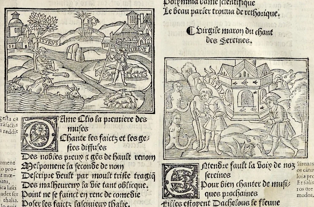An illustration from Les oeuures de Virgile : translatees de latin en francoys, et nouuellement imprimees, veues et corrigees oultre les precedentes impressions : avec les histoires mises [et] posees chascune en son lieu, ainsi que lon pourra veoir dedans le liure, lesquelles sont moult recreatiues, 1540, leaf 68