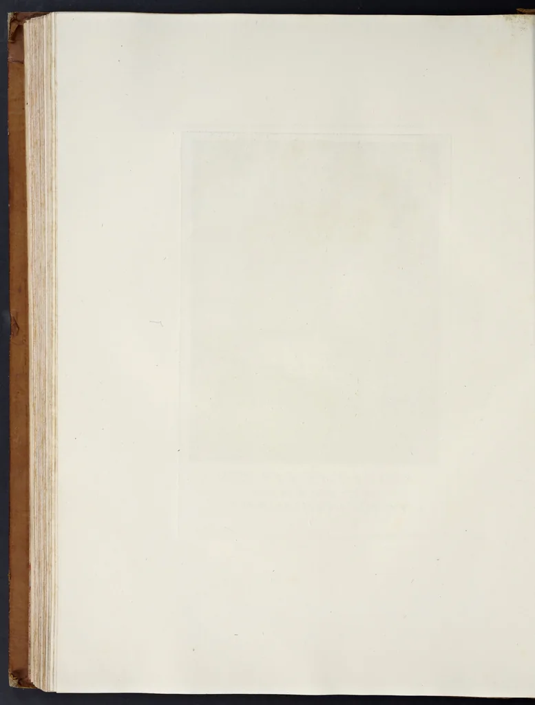 An illustration from Serie di ritratti degli eccellenti pittori : dipinti di propria mano che esistono nell'Imperial galleria di Firenze, 1752, leaf 153