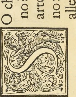 An illustration from Perspectiva pictorum et architectorum, 1693, leaf 261