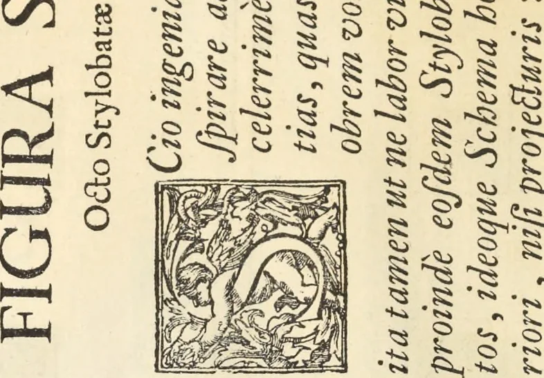 An illustration from Perspectiva pictorum et architectorum, 1693, leaf 261