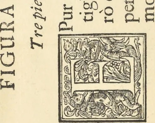 An illustration from Perspectiva pictorum et architectorum, 1693, leaf 285