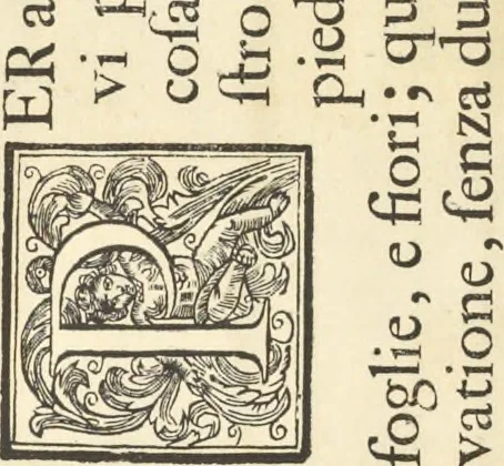 An illustration from Perspectiva pictorum et architectorum, 1693, leaf 295