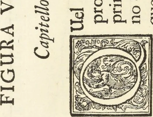 An illustration from Perspectiva pictorum et architectorum, 1693, leaf 305