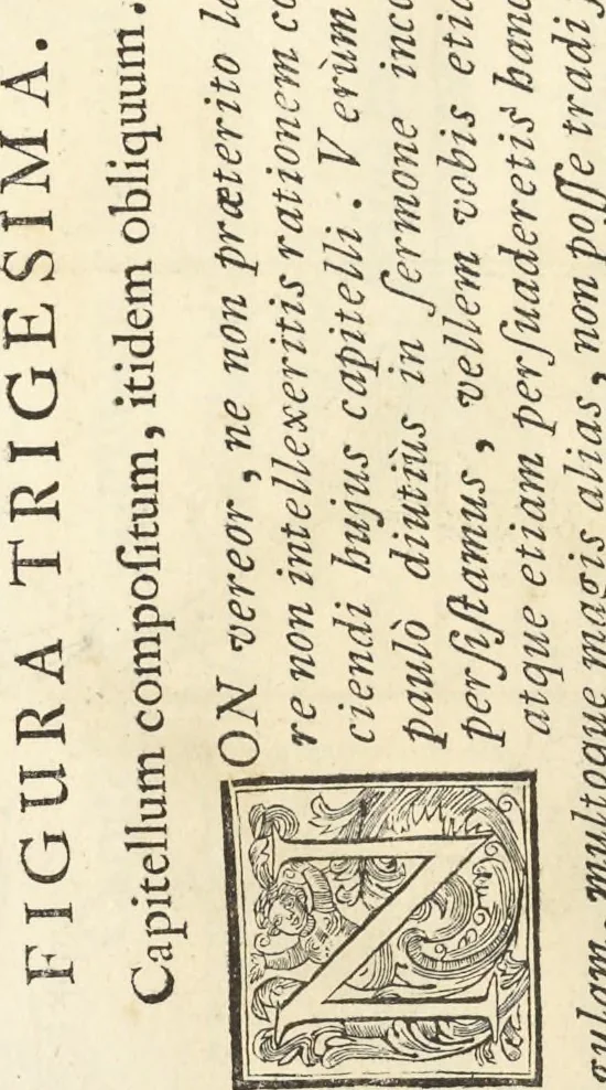 An illustration from Perspectiva pictorum et architectorum, 1693, leaf 307