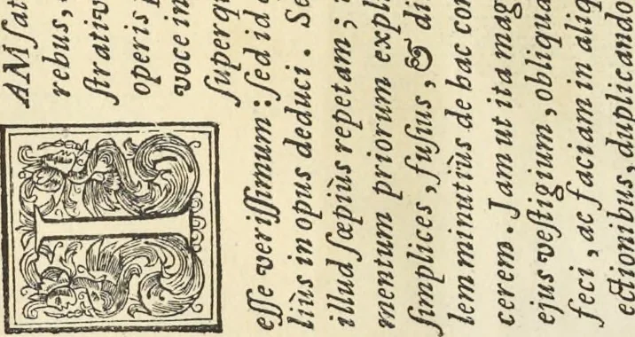 An illustration from Perspectiva pictorum et architectorum, 1693, leaf 313
