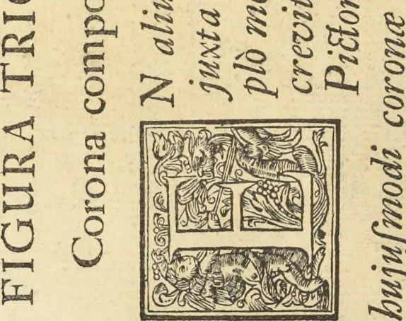 An illustration from Perspectiva pictorum et architectorum, 1693, leaf 317