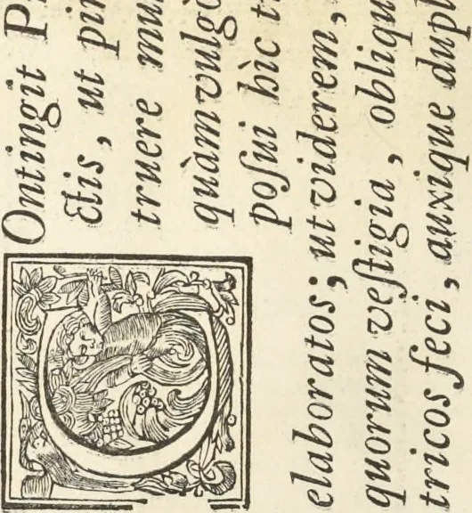 An illustration from Perspectiva pictorum et architectorum, 1693, leaf 441