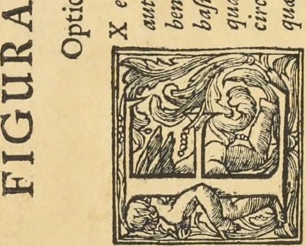 An illustration from Perspectiva pictorum et architectorum, 1693, leaf 49