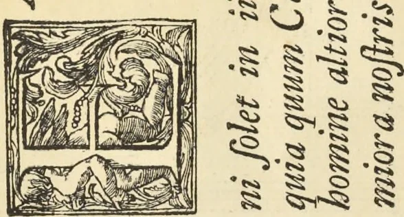 An illustration from Perspectiva pictorum et architectorum, 1693, leaf 59