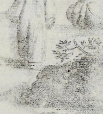 An illustration from Gedenkwaerdige gesantschappen der Oost-Indische maatschappy in't Vereenigde Nederland, aan de kaisaren van Japan : vervatende wonderlyke voorvallen op de togt der Nederlandtsche gesanten : beschryving van de dorpen, sterkten, steden, landtschappen, tempels, gods-diensten, dragten, gebouwen, dieren, gewasschen, bergen, fonteinen, vereeuwde en nieuwe oorlogs-daaden der Japanders : verçiert met een groot getal afbeeldsels in Japan geteikent : getrokken uit de geschriften en reis-aanteikeningen der zelve gesanten, 1669, leaf 340