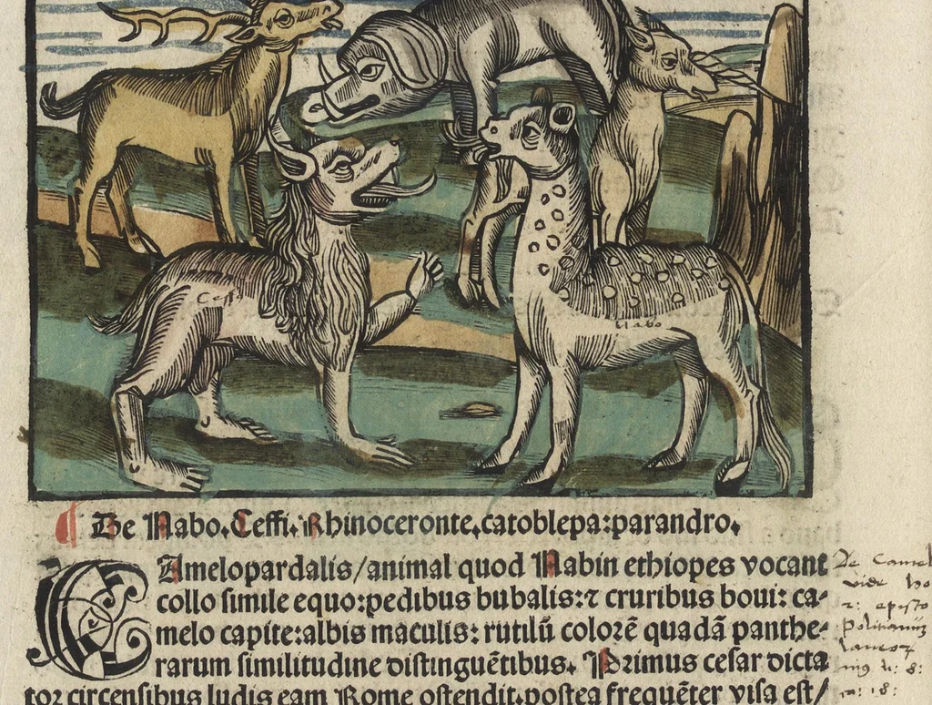 An illustration from Esopi appologi siue mythologi cum quibusdam carminum et fabularum additionibus, 1501, leaf 369