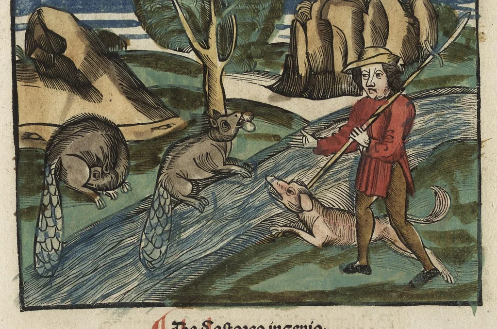 An illustration from Esopi appologi siue mythologi cum quibusdam carminum et fabularum additionibus, 1501, leaf 398