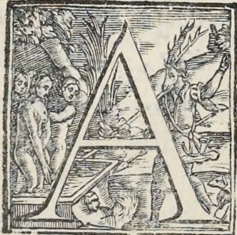 An illustration from Architettura civile : opera postuma, 1737, leaf 6