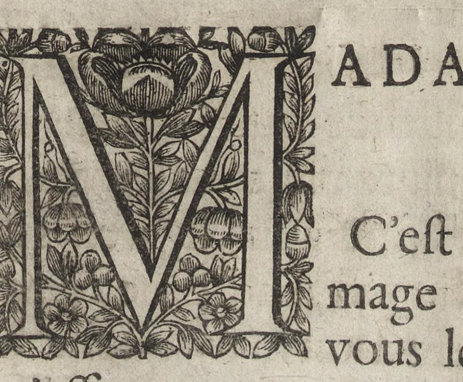 An illustration from Andromede : tragedie representée avec les machines sur le Theatre Royal de Bourbon, 1651, leaf 10
