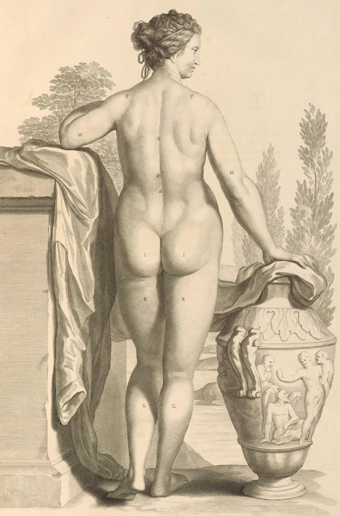 An illustration from Godefridi Bidloo, medicinae doctoris & chirurgi, Anatomia humani corporis : centum & quinque tabulis, per artificiosiss. G. de Lairesse ad vivum delineatis, demonstrata, veterum recentiorumque inventis explicata plurimisque hactenus non detectis, illustrata, 1685, leaf 26