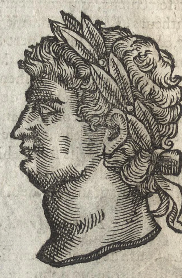 An illustration from La physionomie humaine de Iean Baptiste Porta neapolitain, divisée en quatre liures : enrichie de quantité de figures tirées au naturel, ou par les signes exterieurs du corps, on voit si clairement la complexion, les mœurs, & les desseins des hommes, qu'on semble penetrer iusques au plus profond de leurs ames ..., 1655, leaf 139