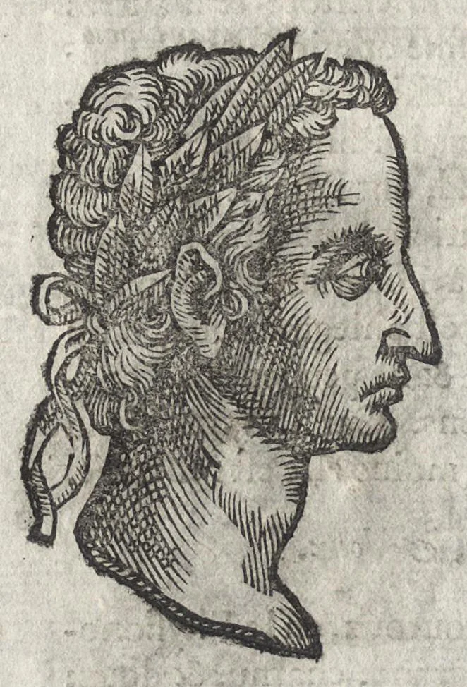 An illustration from La physionomie humaine de Iean Baptiste Porta neapolitain, divisée en quatre liures : enrichie de quantité de figures tirées au naturel, ou par les signes exterieurs du corps, on voit si clairement la complexion, les mœurs, & les desseins des hommes, qu'on semble penetrer iusques au plus profond de leurs ames ..., 1655, leaf 139