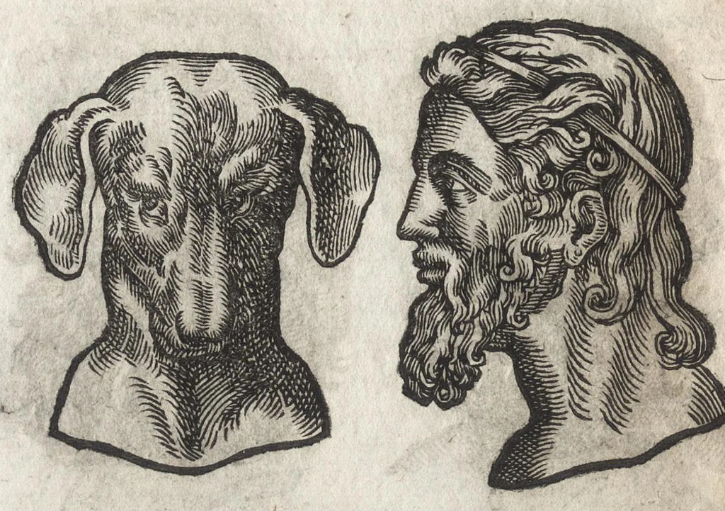An illustration from La physionomie humaine de Iean Baptiste Porta neapolitain, divisée en quatre liures : enrichie de quantité de figures tirées au naturel, ou par les signes exterieurs du corps, on voit si clairement la complexion, les mœurs, & les desseins des hommes, qu'on semble penetrer iusques au plus profond de leurs ames ..., 1655, leaf 141