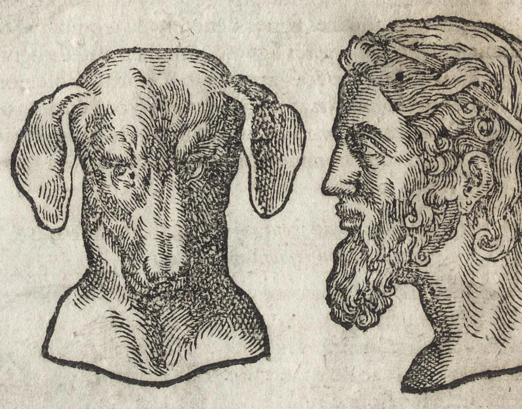 An illustration from La physionomie humaine de Iean Baptiste Porta neapolitain, divisée en quatre liures : enrichie de quantité de figures tirées au naturel, ou par les signes exterieurs du corps, on voit si clairement la complexion, les mœurs, & les desseins des hommes, qu'on semble penetrer iusques au plus profond de leurs ames ..., 1655, leaf 145