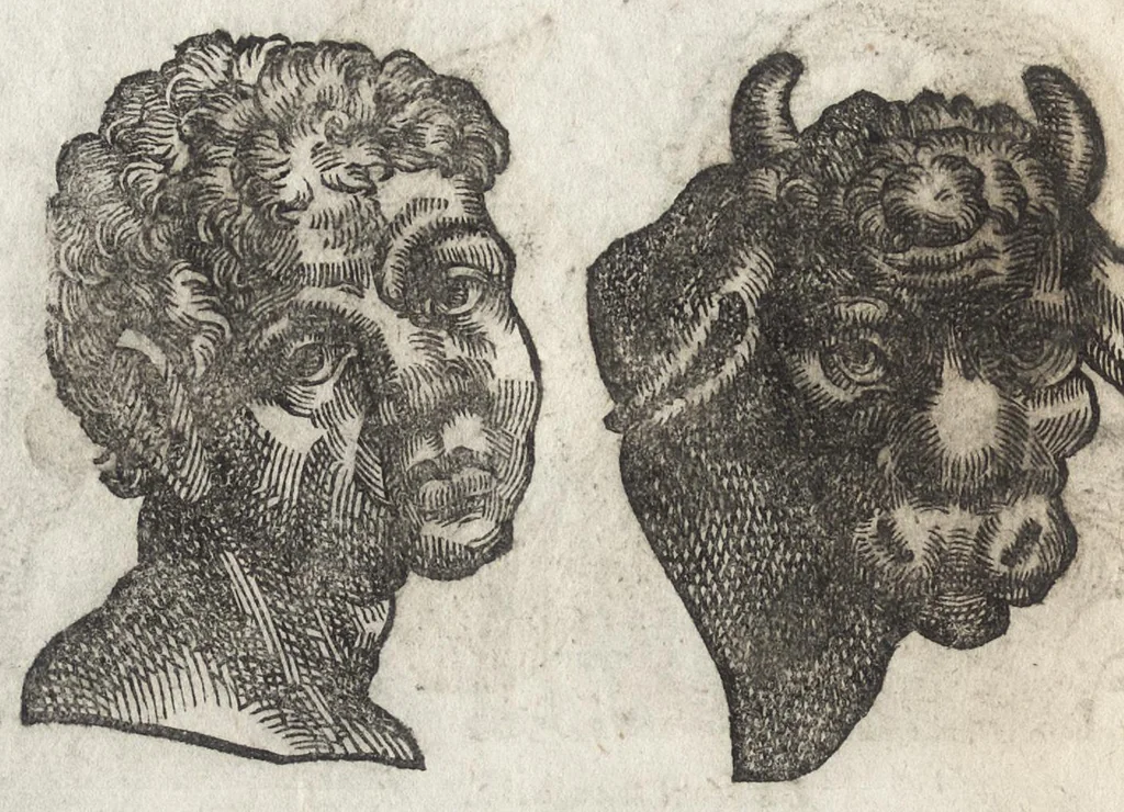 An illustration from La physionomie humaine de Iean Baptiste Porta neapolitain, divisée en quatre liures : enrichie de quantité de figures tirées au naturel, ou par les signes exterieurs du corps, on voit si clairement la complexion, les mœurs, & les desseins des hommes, qu'on semble penetrer iusques au plus profond de leurs ames ..., 1655, leaf 151