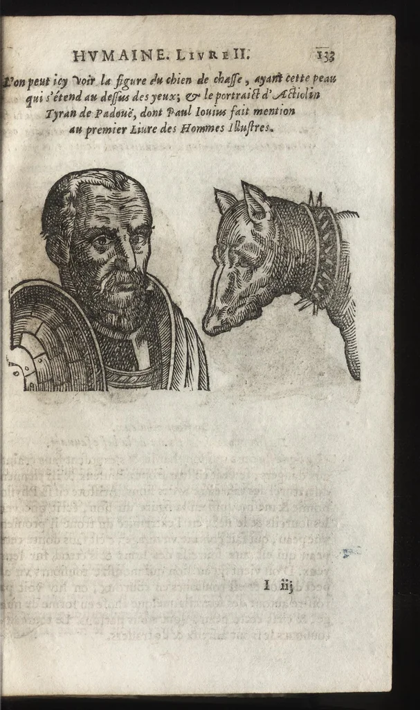 An illustration from La physionomie humaine de Iean Baptiste Porta neapolitain, divisée en quatre liures : enrichie de quantité de figures tirées au naturel, ou par les signes exterieurs du corps, on voit si clairement la complexion, les mœurs, & les desseins des hommes, qu'on semble penetrer iusques au plus profond de leurs ames ..., 1655, leaf 152
