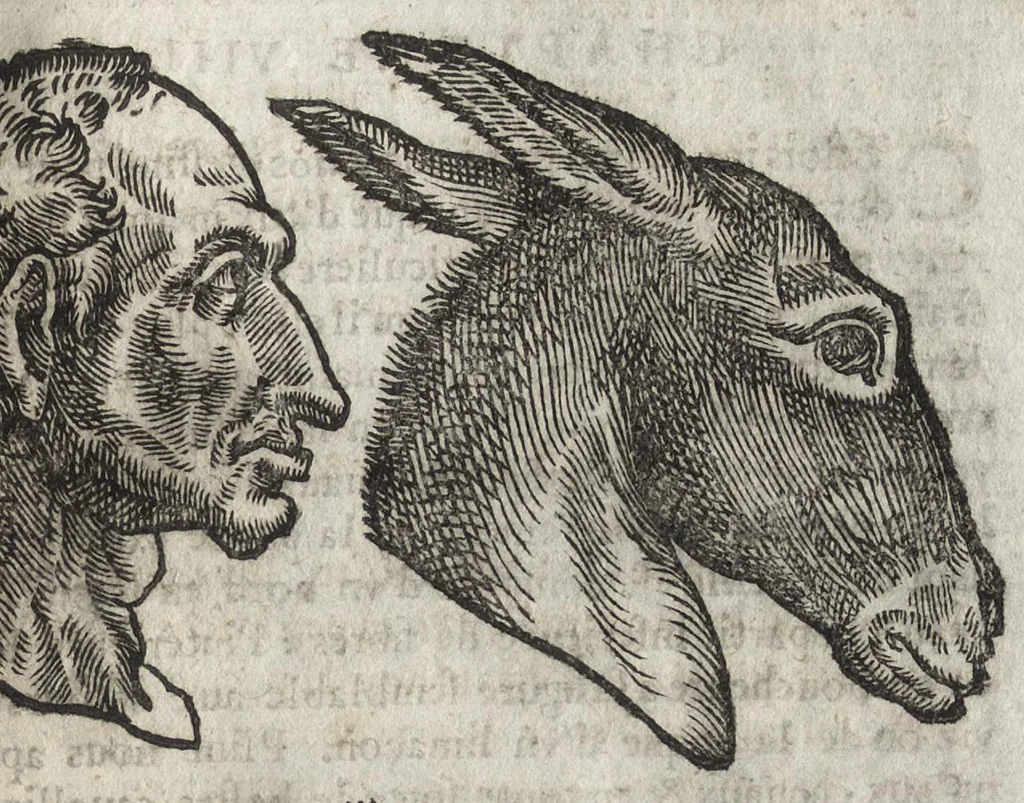 An illustration from La physionomie humaine de Iean Baptiste Porta neapolitain, divisée en quatre liures : enrichie de quantité de figures tirées au naturel, ou par les signes exterieurs du corps, on voit si clairement la complexion, les mœurs, & les desseins des hommes, qu'on semble penetrer iusques au plus profond de leurs ames ..., 1655, leaf 166