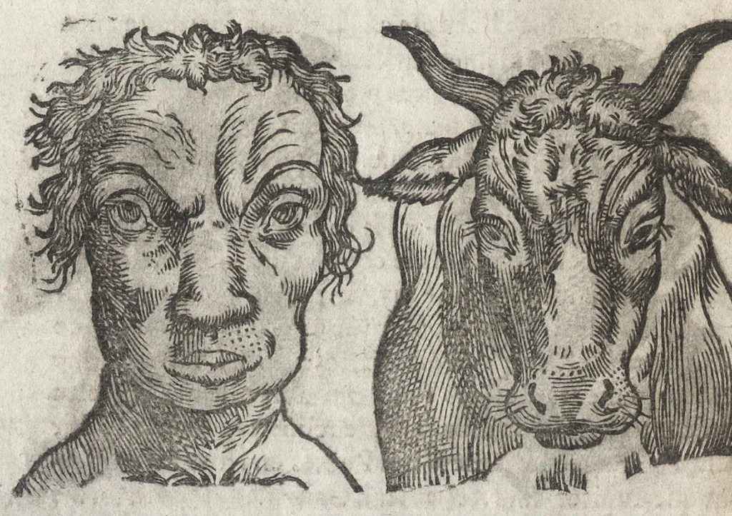 An illustration from La physionomie humaine de Iean Baptiste Porta neapolitain, divisée en quatre liures : enrichie de quantité de figures tirées au naturel, ou par les signes exterieurs du corps, on voit si clairement la complexion, les mœurs, & les desseins des hommes, qu'on semble penetrer iusques au plus profond de leurs ames ..., 1655, leaf 183