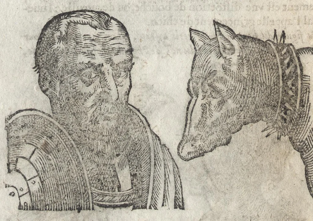 An illustration from La physionomie humaine de Iean Baptiste Porta neapolitain, divisée en quatre liures : enrichie de quantité de figures tirées au naturel, ou par les signes exterieurs du corps, on voit si clairement la complexion, les mœurs, & les desseins des hommes, qu'on semble penetrer iusques au plus profond de leurs ames ..., 1655, leaf 185