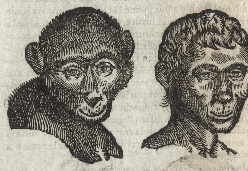 An illustration from La physionomie humaine de Iean Baptiste Porta neapolitain, divisée en quatre liures : enrichie de quantité de figures tirées au naturel, ou par les signes exterieurs du corps, on voit si clairement la complexion, les mœurs, & les desseins des hommes, qu'on semble penetrer iusques au plus profond de leurs ames ..., 1655, leaf 189
