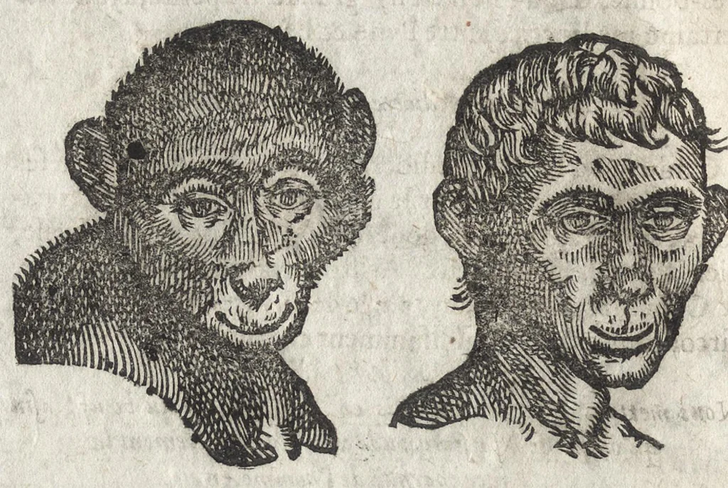 An illustration from La physionomie humaine de Iean Baptiste Porta neapolitain, divisée en quatre liures : enrichie de quantité de figures tirées au naturel, ou par les signes exterieurs du corps, on voit si clairement la complexion, les mœurs, & les desseins des hommes, qu'on semble penetrer iusques au plus profond de leurs ames ..., 1655, leaf 205