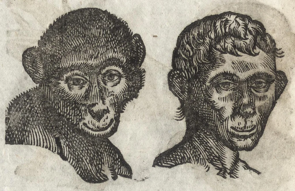 An illustration from La physionomie humaine de Iean Baptiste Porta neapolitain, divisée en quatre liures : enrichie de quantité de figures tirées au naturel, ou par les signes exterieurs du corps, on voit si clairement la complexion, les mœurs, & les desseins des hommes, qu'on semble penetrer iusques au plus profond de leurs ames ..., 1655, leaf 211