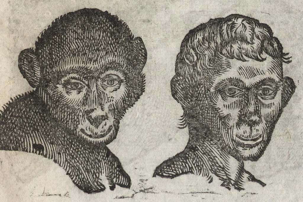 An illustration from La physionomie humaine de Iean Baptiste Porta neapolitain, divisée en quatre liures : enrichie de quantité de figures tirées au naturel, ou par les signes exterieurs du corps, on voit si clairement la complexion, les mœurs, & les desseins des hommes, qu'on semble penetrer iusques au plus profond de leurs ames ..., 1655, leaf 240