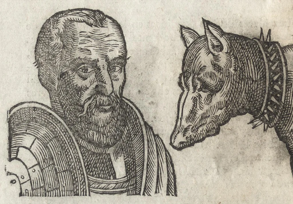 An illustration from La physionomie humaine de Iean Baptiste Porta neapolitain, divisée en quatre liures : enrichie de quantité de figures tirées au naturel, ou par les signes exterieurs du corps, on voit si clairement la complexion, les mœurs, & les desseins des hommes, qu'on semble penetrer iusques au plus profond de leurs ames ..., 1655, leaf 243