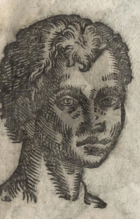 An illustration from La physionomie humaine de Iean Baptiste Porta neapolitain, divisée en quatre liures : enrichie de quantité de figures tirées au naturel, ou par les signes exterieurs du corps, on voit si clairement la complexion, les mœurs, & les desseins des hommes, qu'on semble penetrer iusques au plus profond de leurs ames ..., 1655, leaf 244