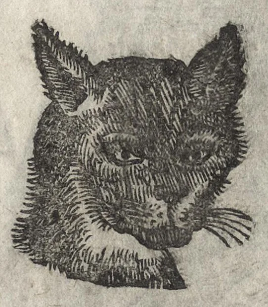An illustration from La physionomie humaine de Iean Baptiste Porta neapolitain, divisée en quatre liures : enrichie de quantité de figures tirées au naturel, ou par les signes exterieurs du corps, on voit si clairement la complexion, les mœurs, & les desseins des hommes, qu'on semble penetrer iusques au plus profond de leurs ames ..., 1655, leaf 244