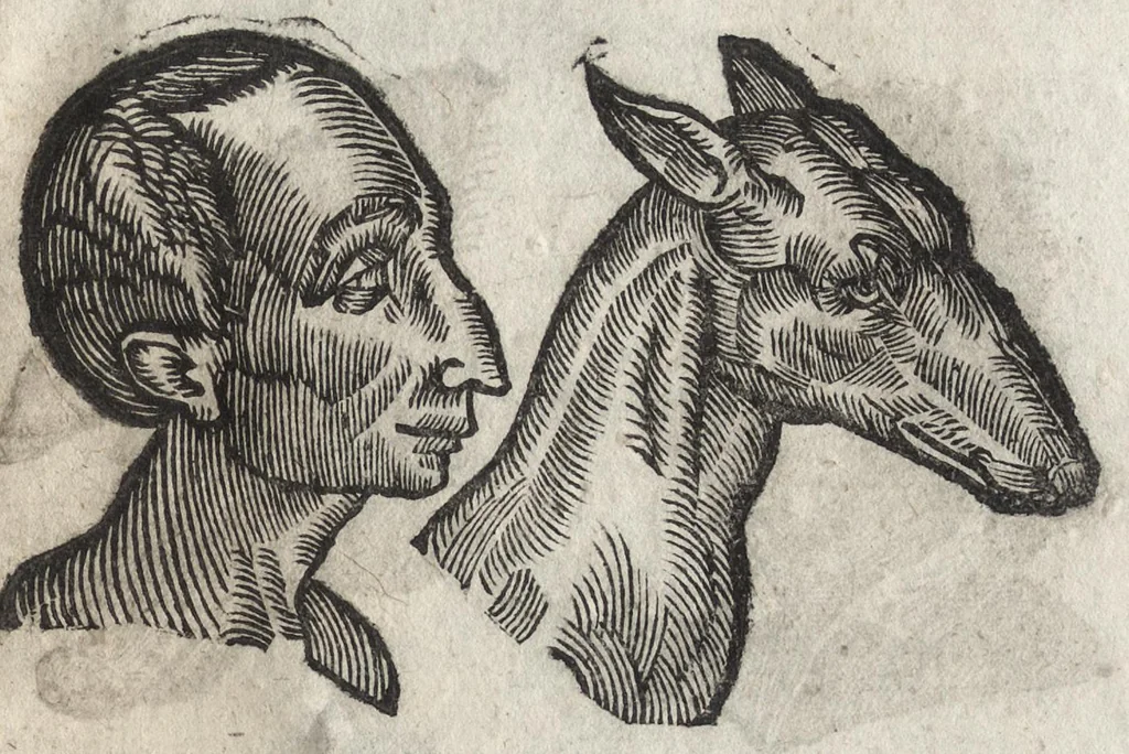 An illustration from La physionomie humaine de Iean Baptiste Porta neapolitain, divisée en quatre liures : enrichie de quantité de figures tirées au naturel, ou par les signes exterieurs du corps, on voit si clairement la complexion, les mœurs, & les desseins des hommes, qu'on semble penetrer iusques au plus profond de leurs ames ..., 1655, leaf 246